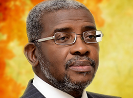 Mr. Olutola Mobolurin